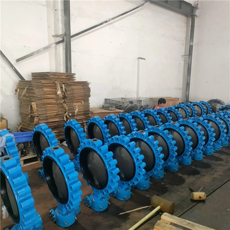 product-800-800 product-800-800