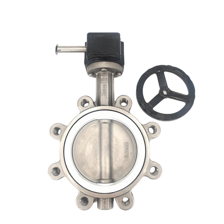 316L Sonsuz Dişli Lug Tipi PTFE Kelebek Vana